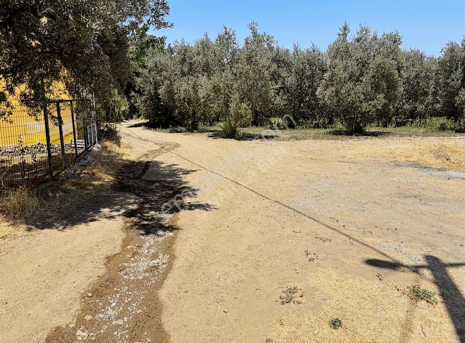 Göle 90 Metre Mesafede Etrafında Yerleşim Olan Satılık Arazi