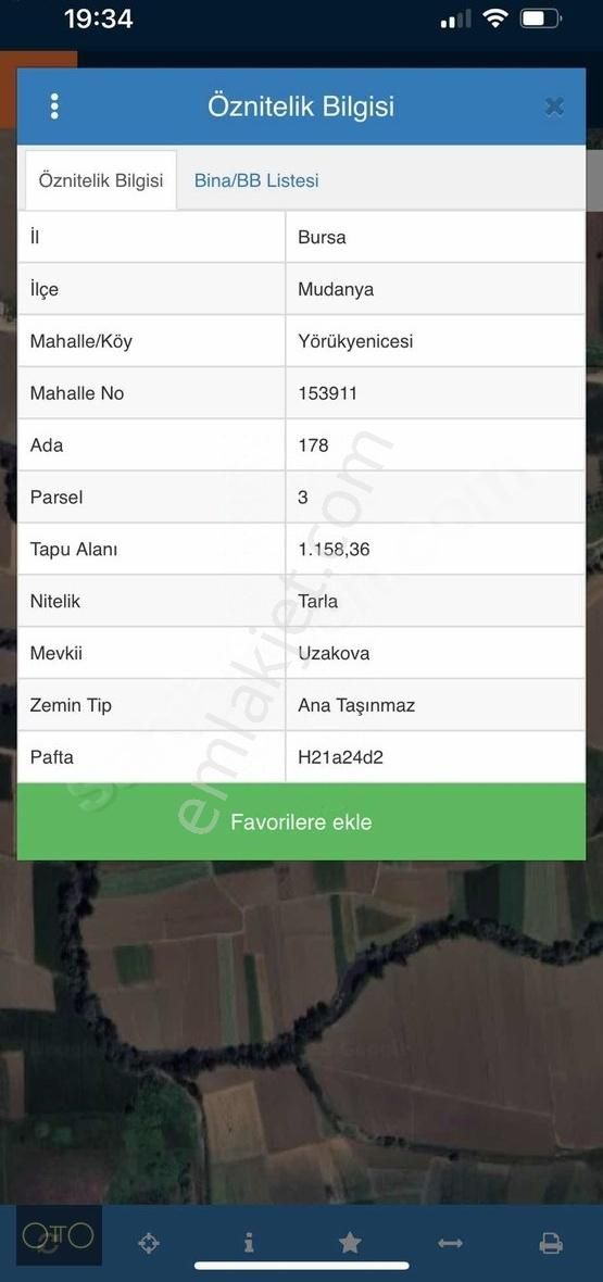 Mudanya Mırzaoba Köyüne Yakın Zeytinlik