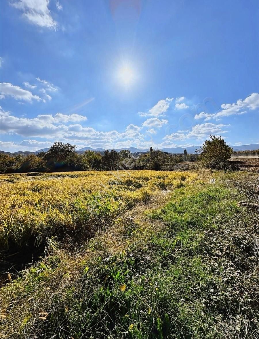 Lapseki Beypınar Satılık Tarla - Görsel 2