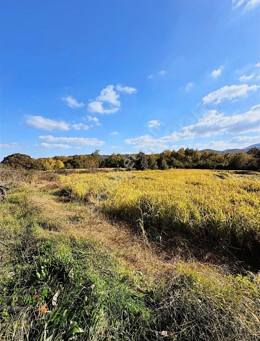 Lapseki Beypınar Satılık Tarla - Görsel 7