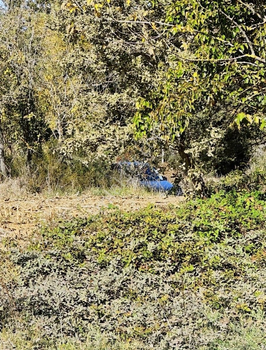 Lapseki Beypınar Satılık Tarla - Görsel 3