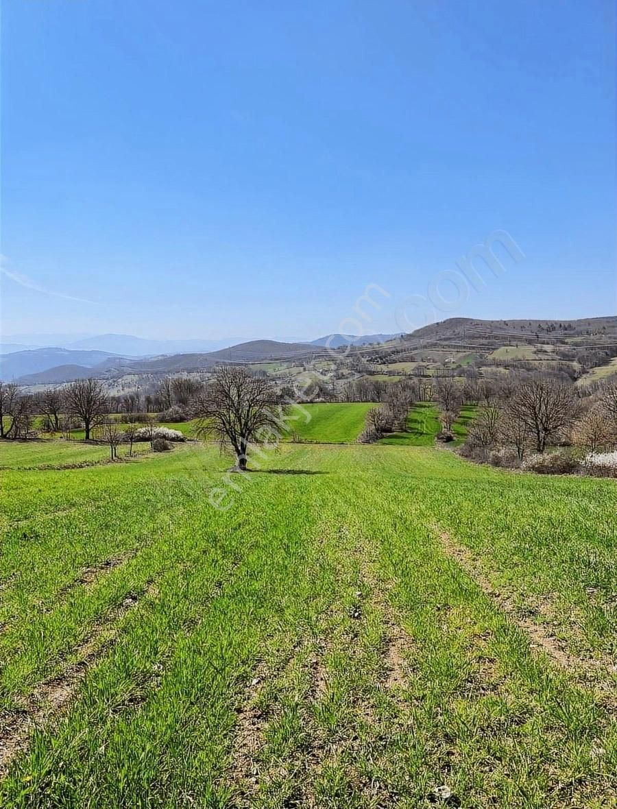 Maltepe Köyünde Çift Yol Cepheli - Görsel 7