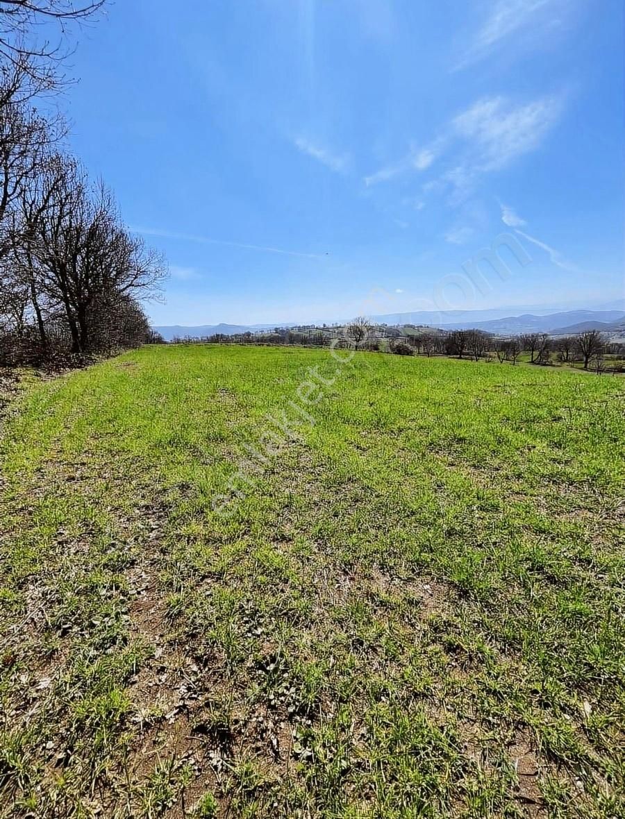 Maltepe Köyünde Çift Yol Cepheli - Görsel 3