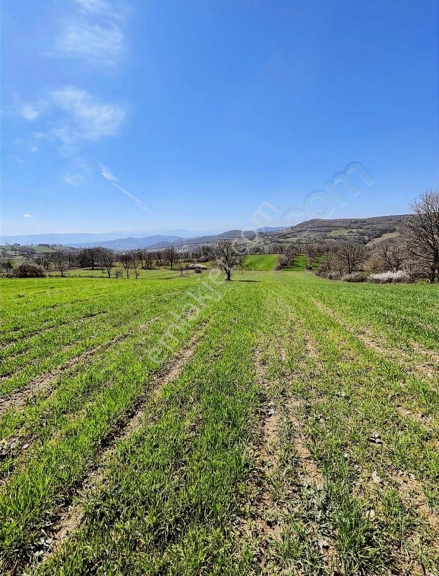 Maltepe Köyünde Çift Yol Cepheli - Görsel 5