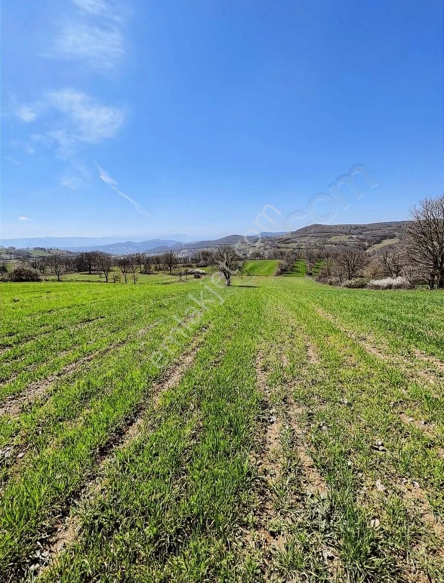 Maltepe Köyünde Çift Yol Cepheli - Görsel 4