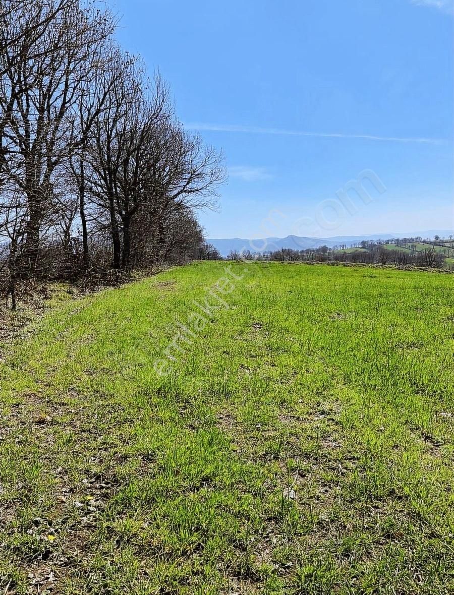 Maltepe Köyünde Çift Yol Cepheli - Görsel 6