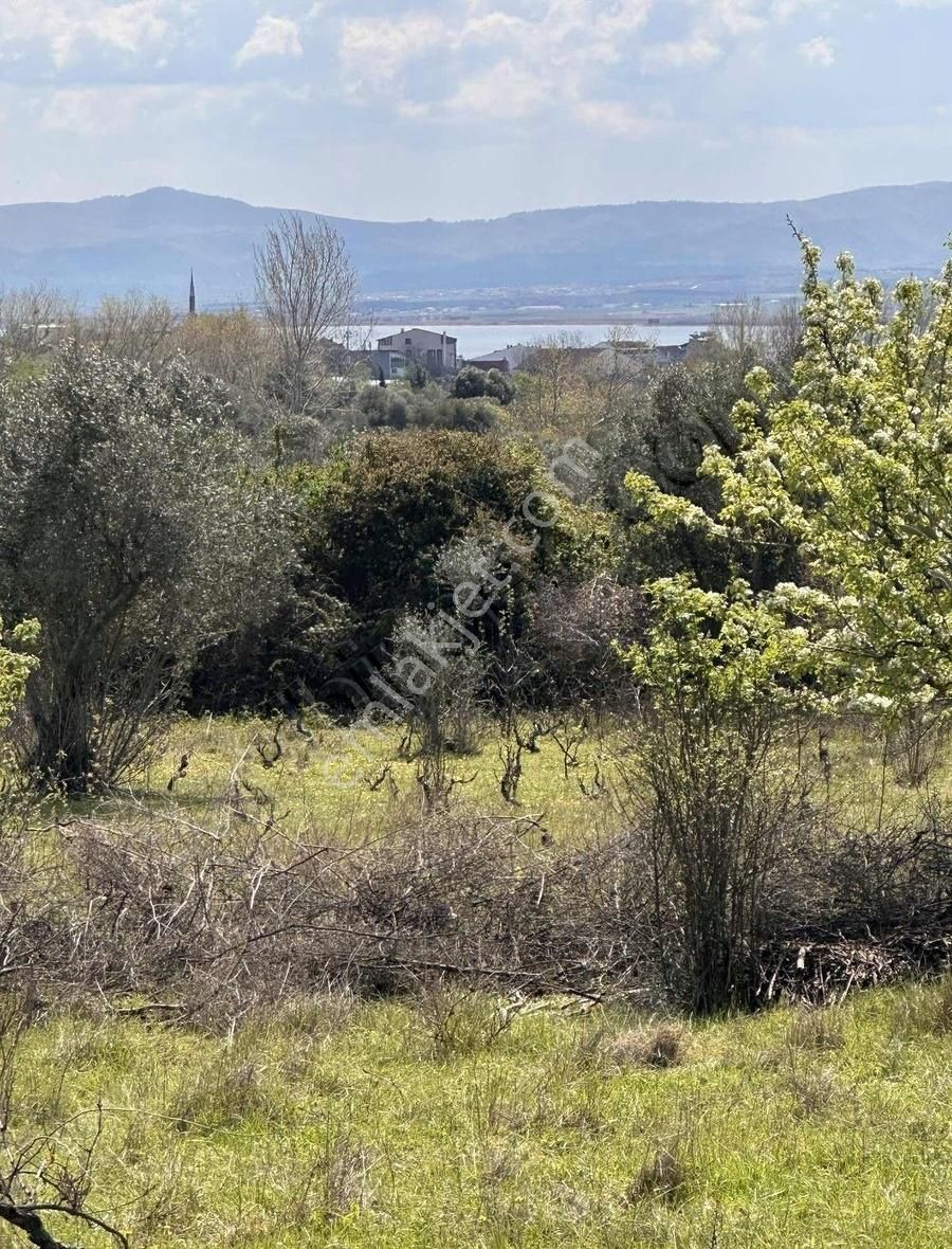 Karabiga Zeytinlik Mahallesinde İmar Dibinde Tarla