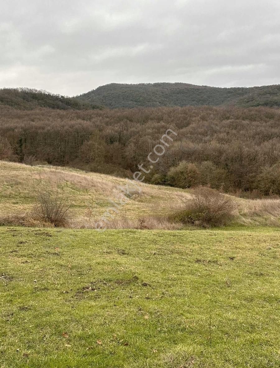 Biga Hacıköy Kelepir Satılık Tarla Acillll