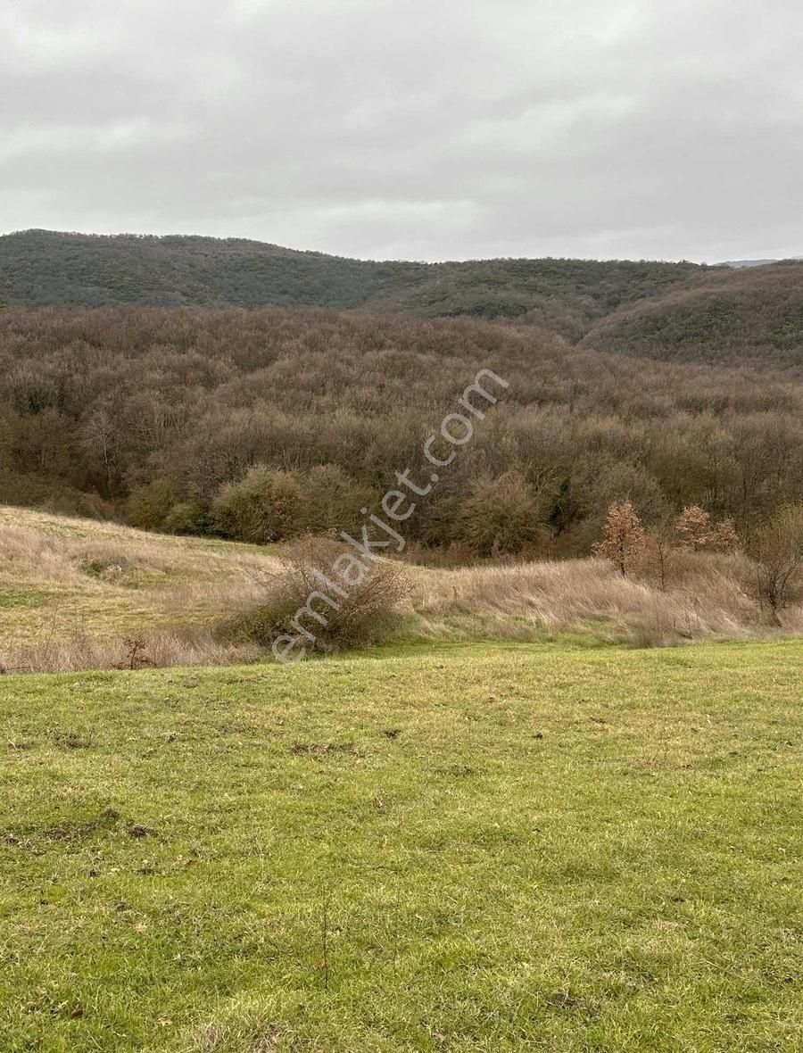 Biga Hacıköy Kelepir Satılık Tarla Acillll - Görsel 4