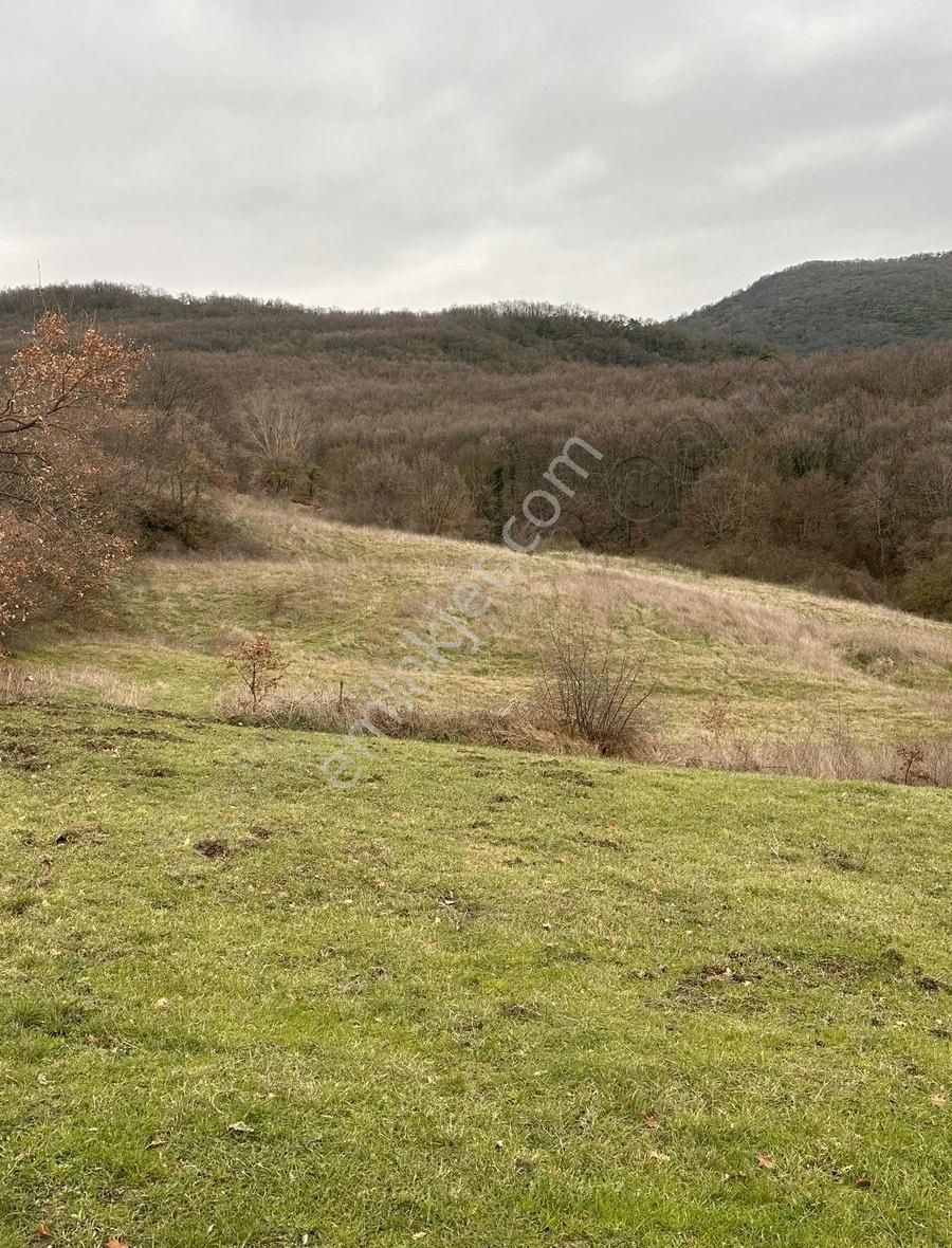 Biga Hacıköy Kelepir Satılık Tarla Acillll - Görsel 3