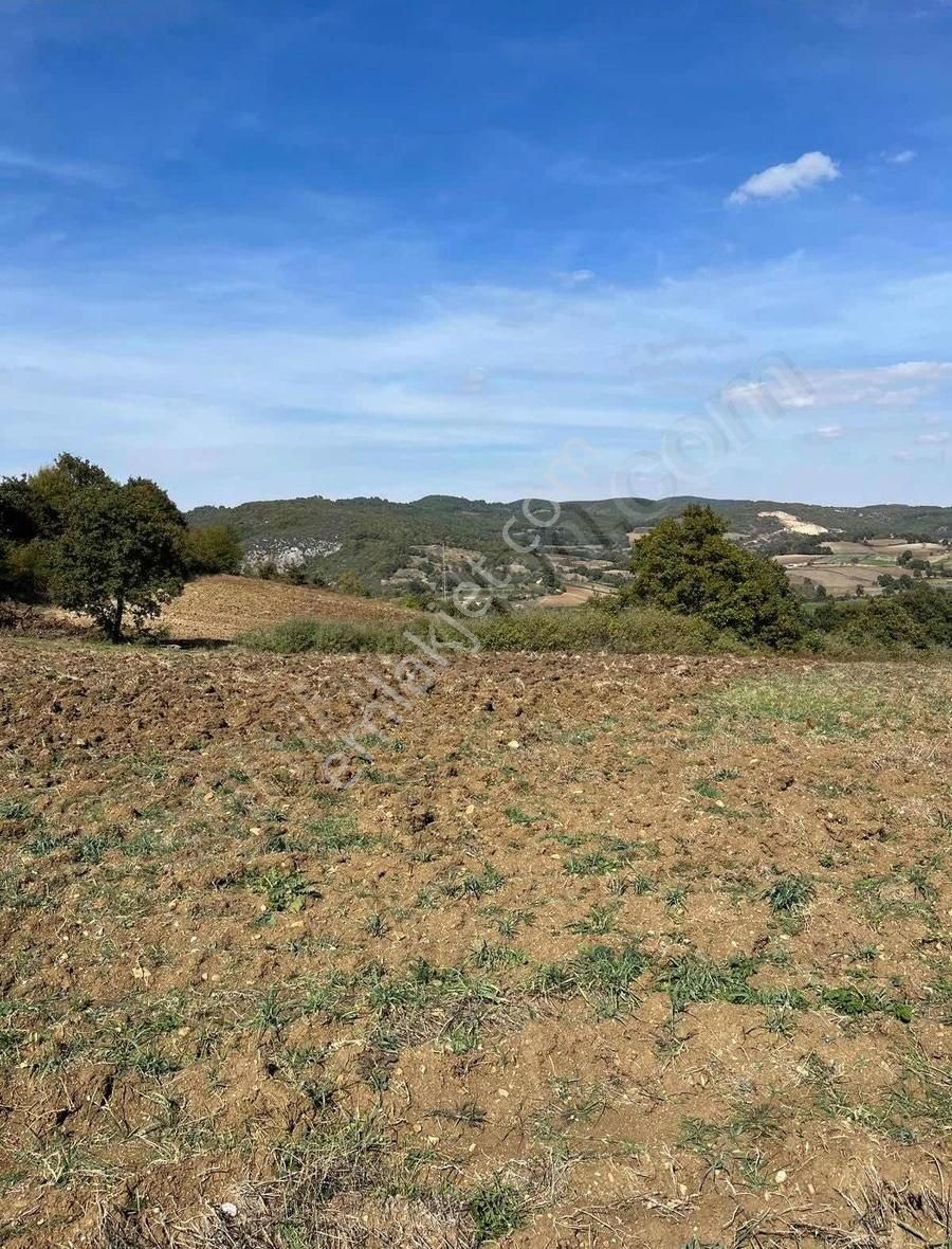 Çan Altıkulaç Güney Cepheli Yer - Görsel 2