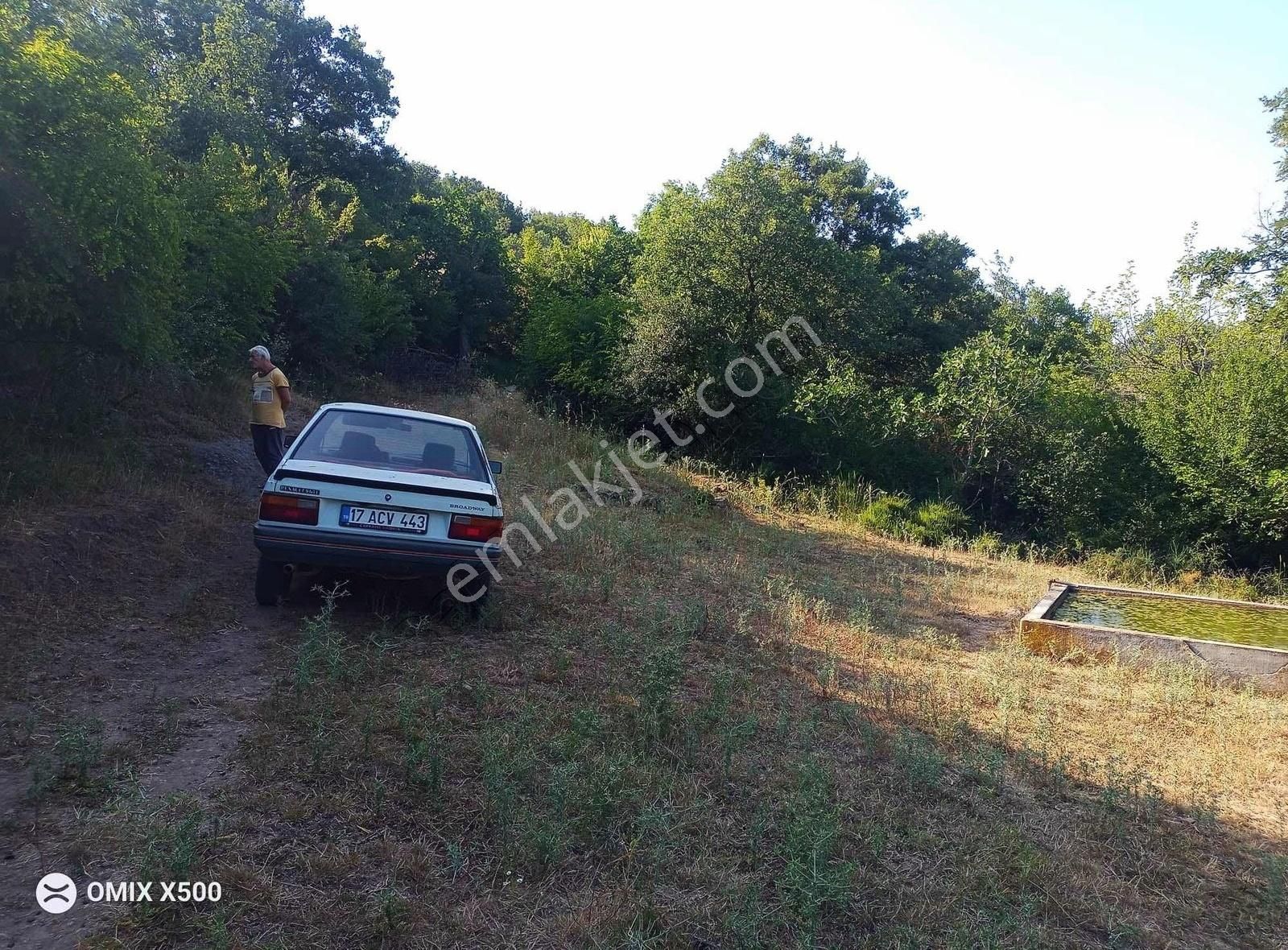 Türkbakacak Satılık Bağlık - Görsel 4