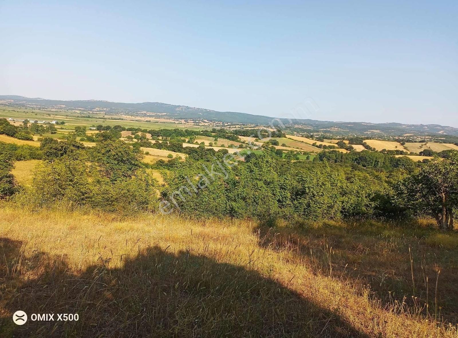 Türkbakacak Satılık Bağlık