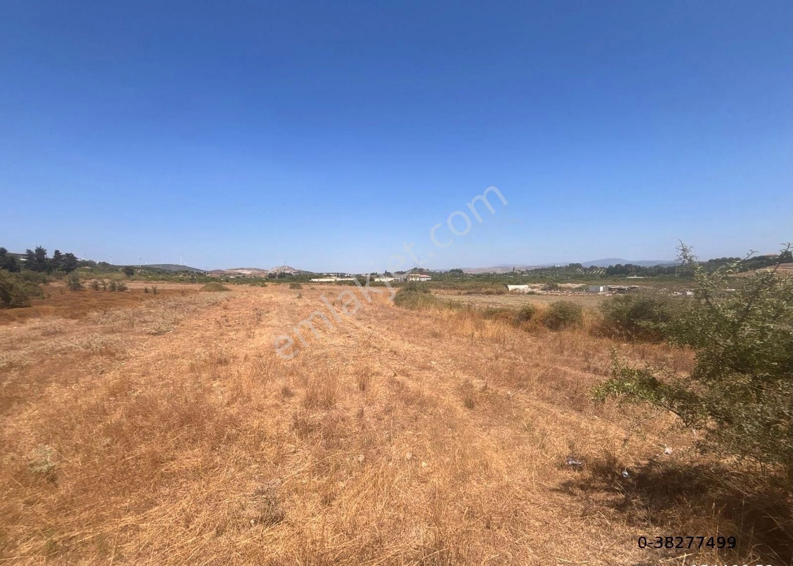 Seferihisar Hıdırlıkta 10.923m2 Yola Cephe Yatırımlık Satılık Tarla - Görsel 2