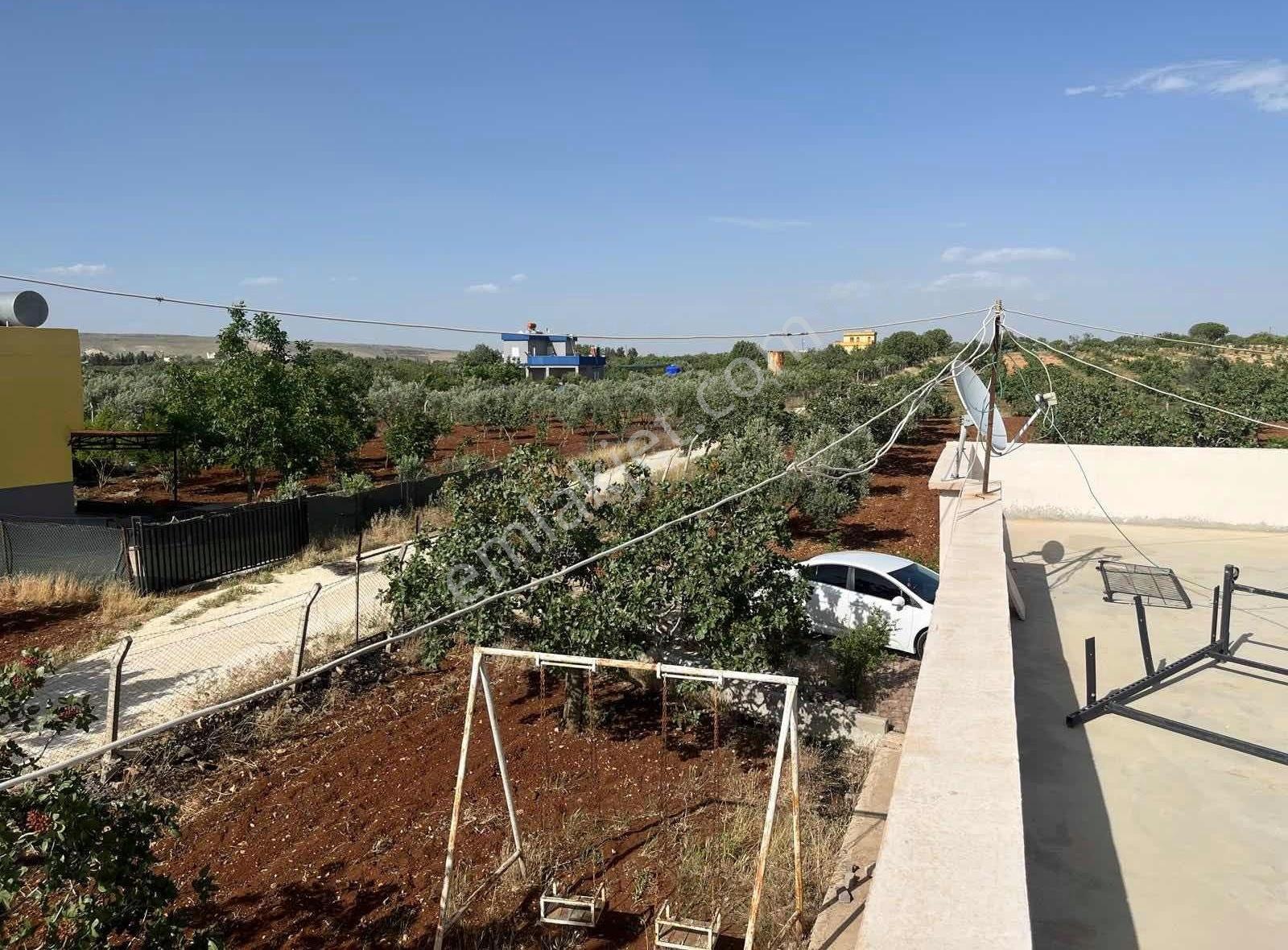 Bağ Evi Yatırımlık Ahmet Şeker Gayrımenkulden - Görsel 2