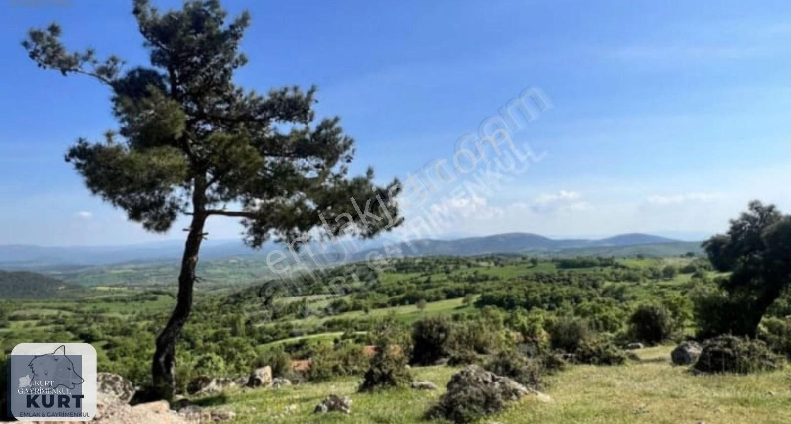 Çanakkale Bayramiç Karaibrahimlarde Satılık Fırsat Tarla - Görsel 5