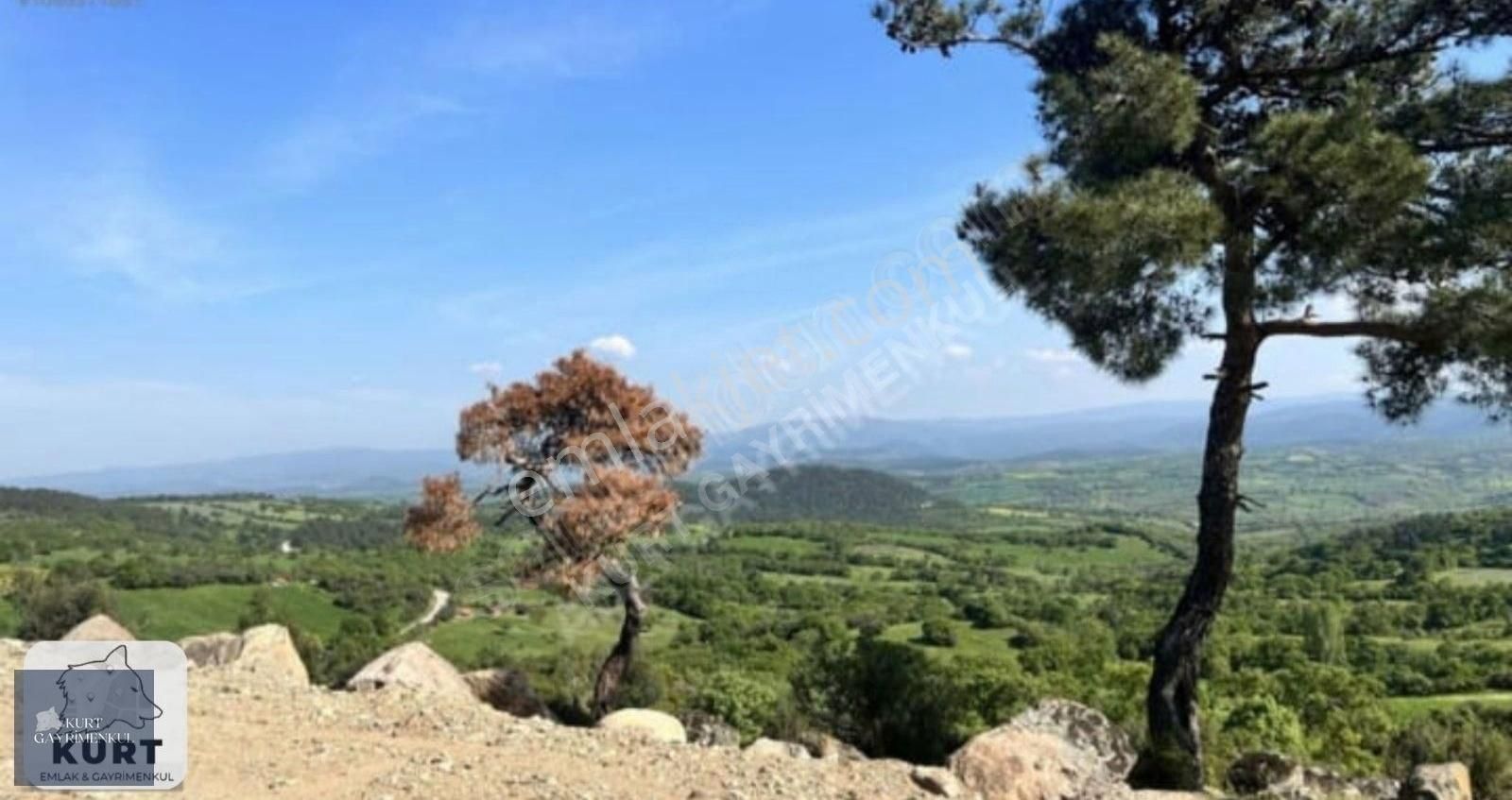 Çanakkale Bayramiç Karaibrahimlarde Satılık Fırsat Tarla - Görsel 2