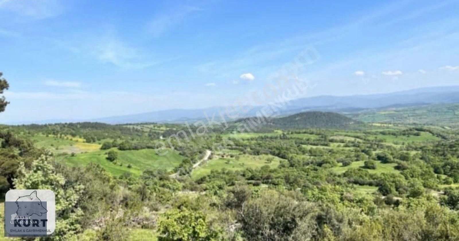 Çanakkale Bayramiç Karaibrahimlarde Satılık Fırsat Tarla