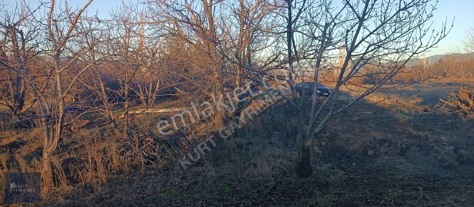 Çanakkale Bayramiç Çavuşlu Köyünde Satılık Fırsat Tarla - Görsel 33