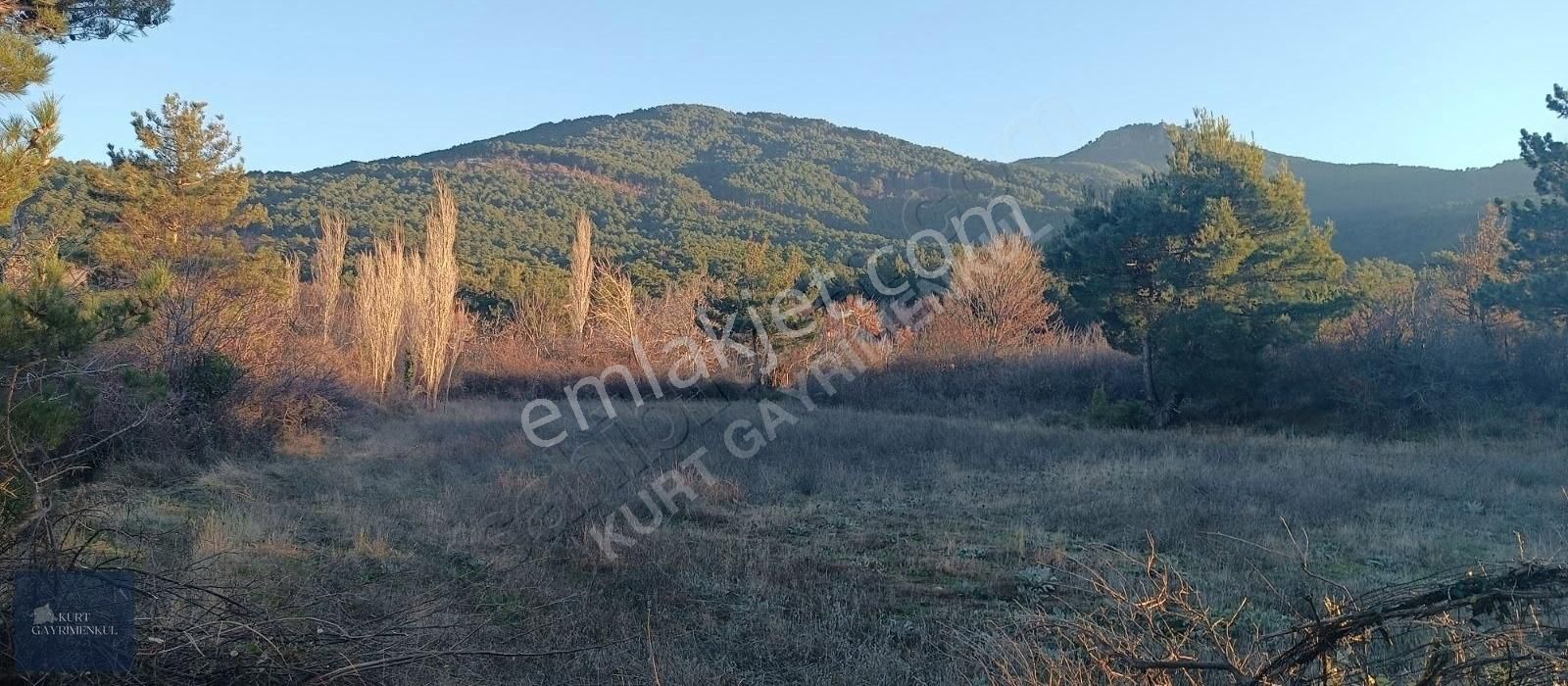 Çanakkale Bayramiç Çavuşlu Köyünde Satılık Fırsat Tarla - Görsel 21