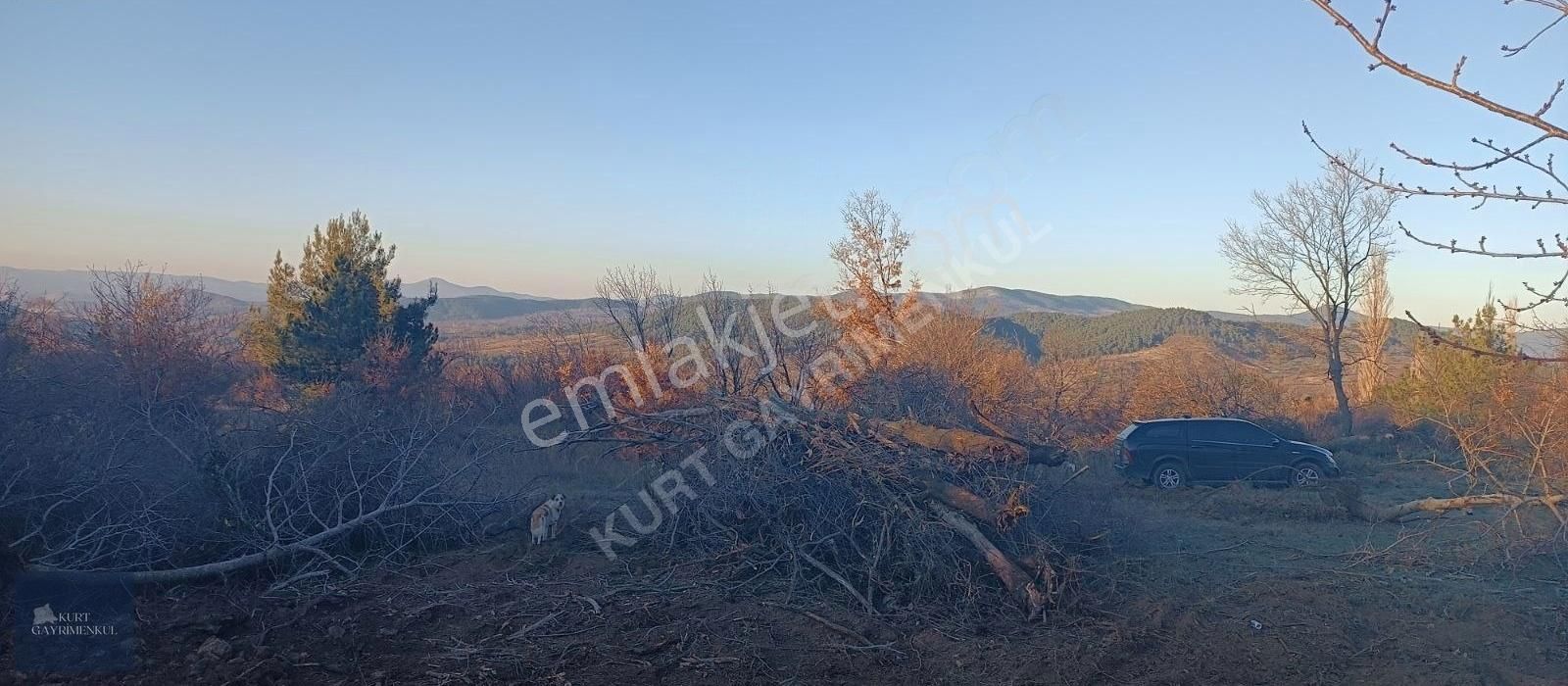 Çanakkale Bayramiç Çavuşlu Köyünde Satılık Fırsat Tarla - Görsel 4