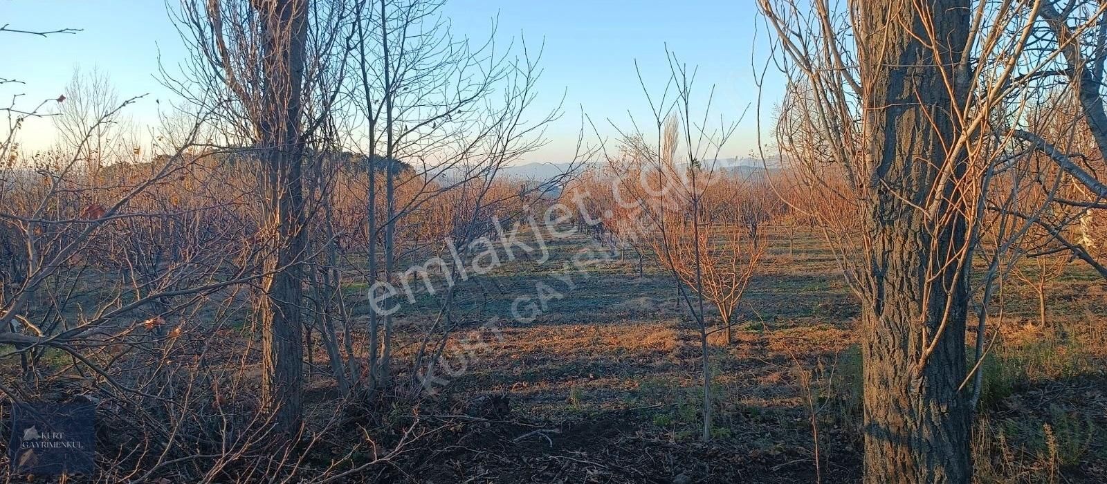 Çanakkale Bayramiç Çavuşlu Köyünde Satılık Fırsat Tarla - Görsel 26