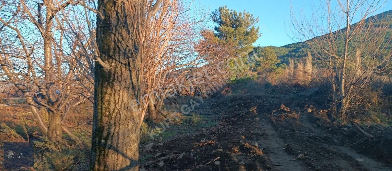 Çanakkale Bayramiç Çavuşlu Köyünde Satılık Fırsat Tarla - Görsel 23