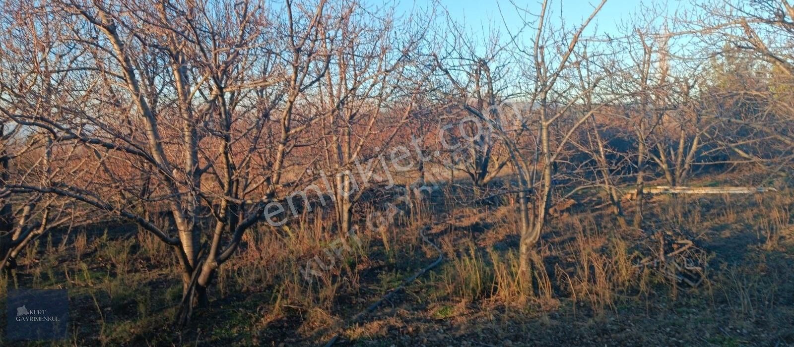 Çanakkale Bayramiç Çavuşlu Köyünde Satılık Fırsat Tarla - Görsel 28