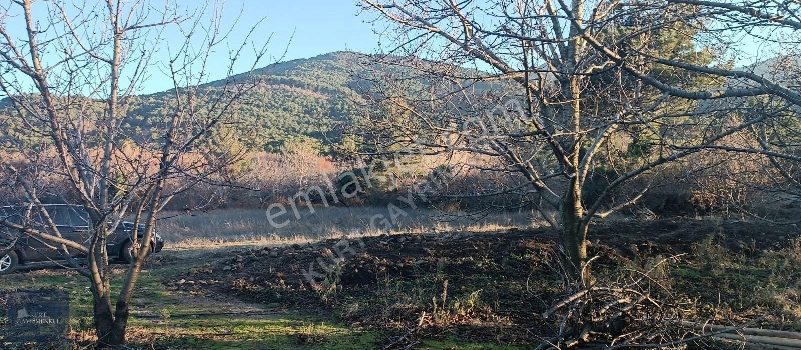 Çanakkale Bayramiç Çavuşlu Köyünde Satılık Fırsat Tarla - Görsel 6