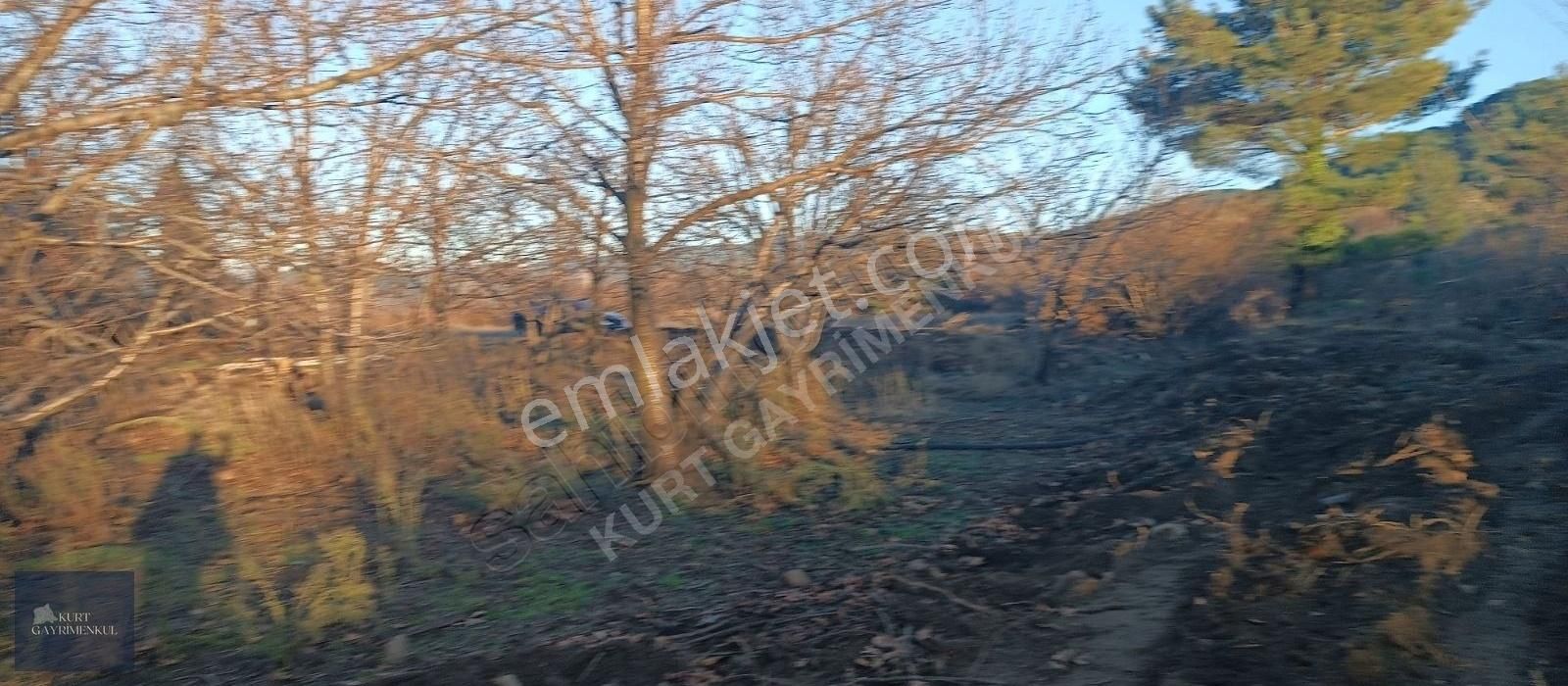 Çanakkale Bayramiç Çavuşlu Köyünde Satılık Fırsat Tarla - Görsel 12