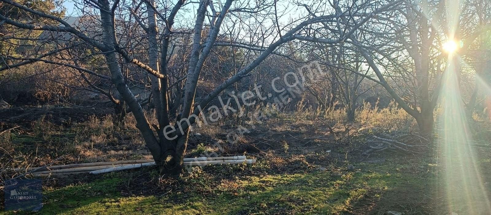 Çanakkale Bayramiç Çavuşlu Köyünde Satılık Fırsat Tarla - Görsel 16