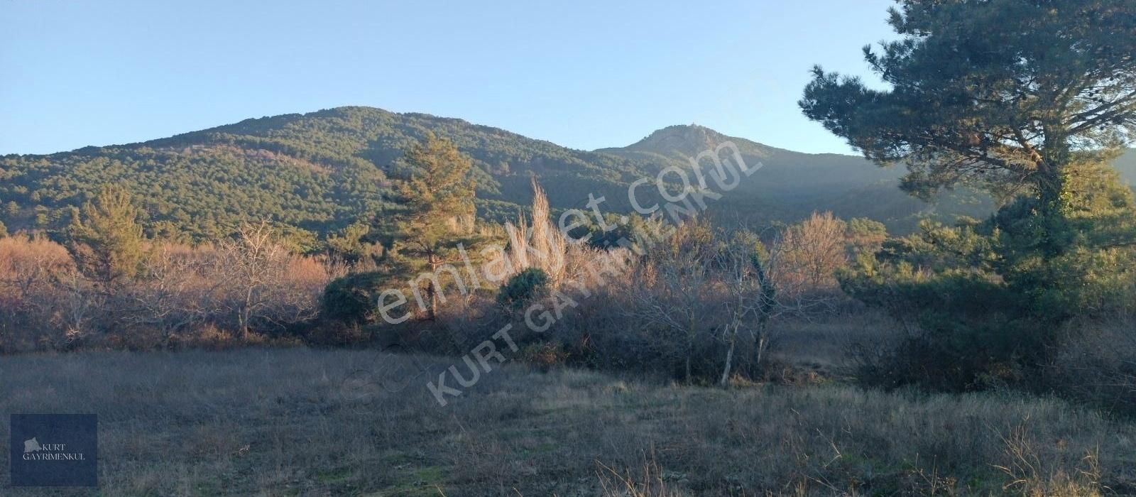 Çanakkale Bayramiç Çavuşlu Köyünde Satılık Fırsat Tarla - Görsel 14