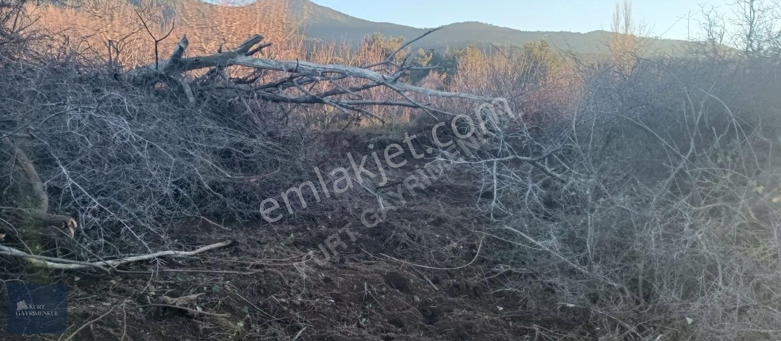 Çanakkale Bayramiç Çavuşlu Köyünde Satılık Fırsat Tarla - Görsel 30