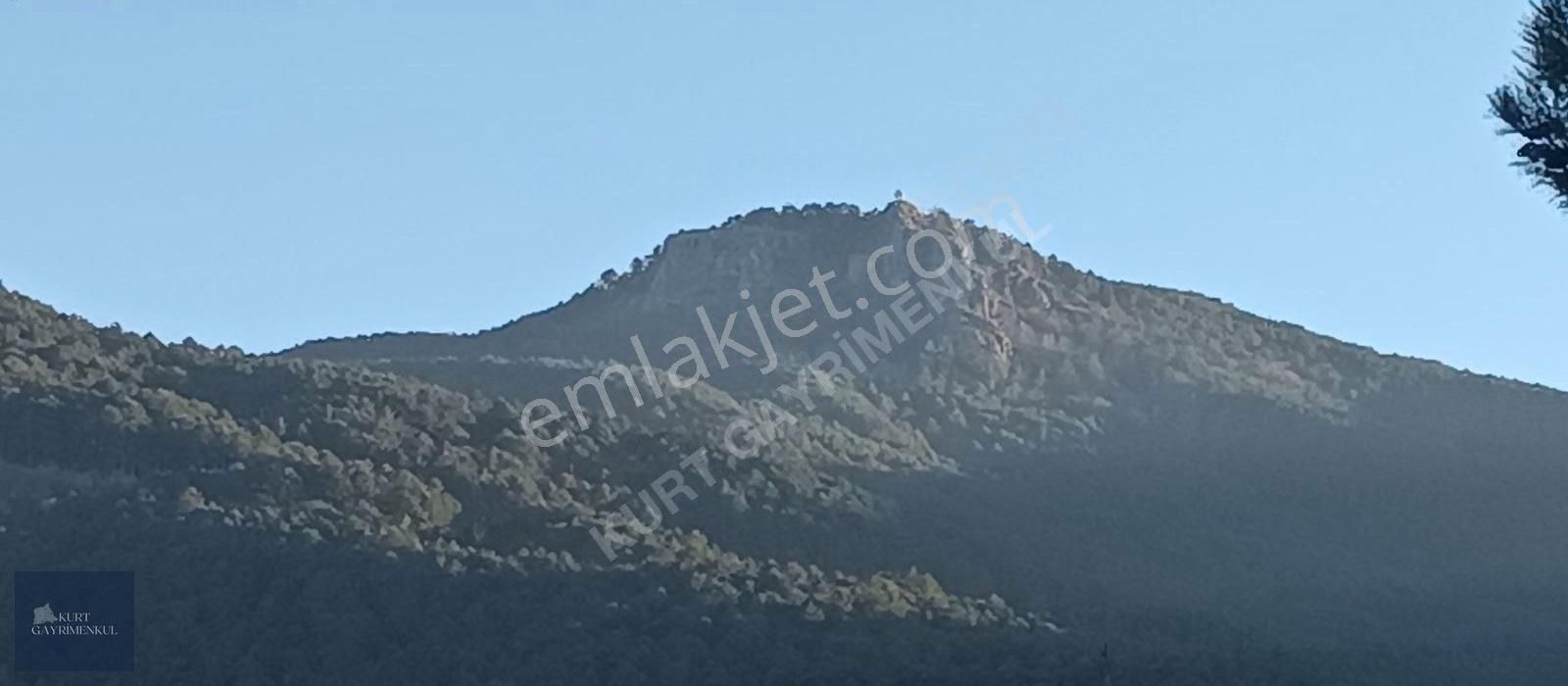 Çanakkale Bayramiç Çavuşlu Köyünde Satılık Fırsat Tarla