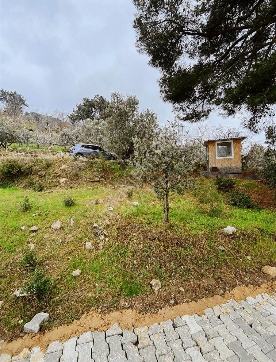 Doğanay Emlaktan İzmir Tire Kaplan Da Manzaralı Bahçe - Görsel 27