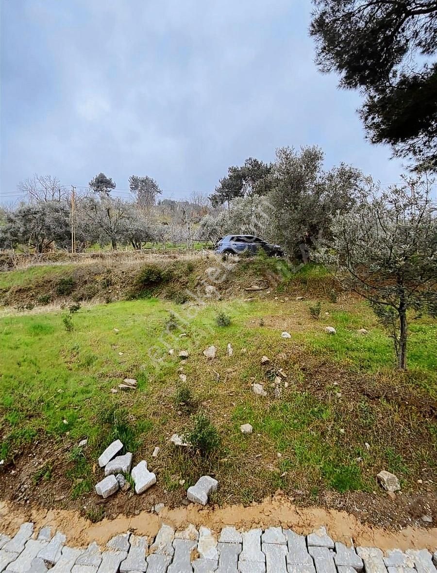 Doğanay Emlaktan İzmir Tire Kaplan Da Manzaralı Bahçe - Görsel 14