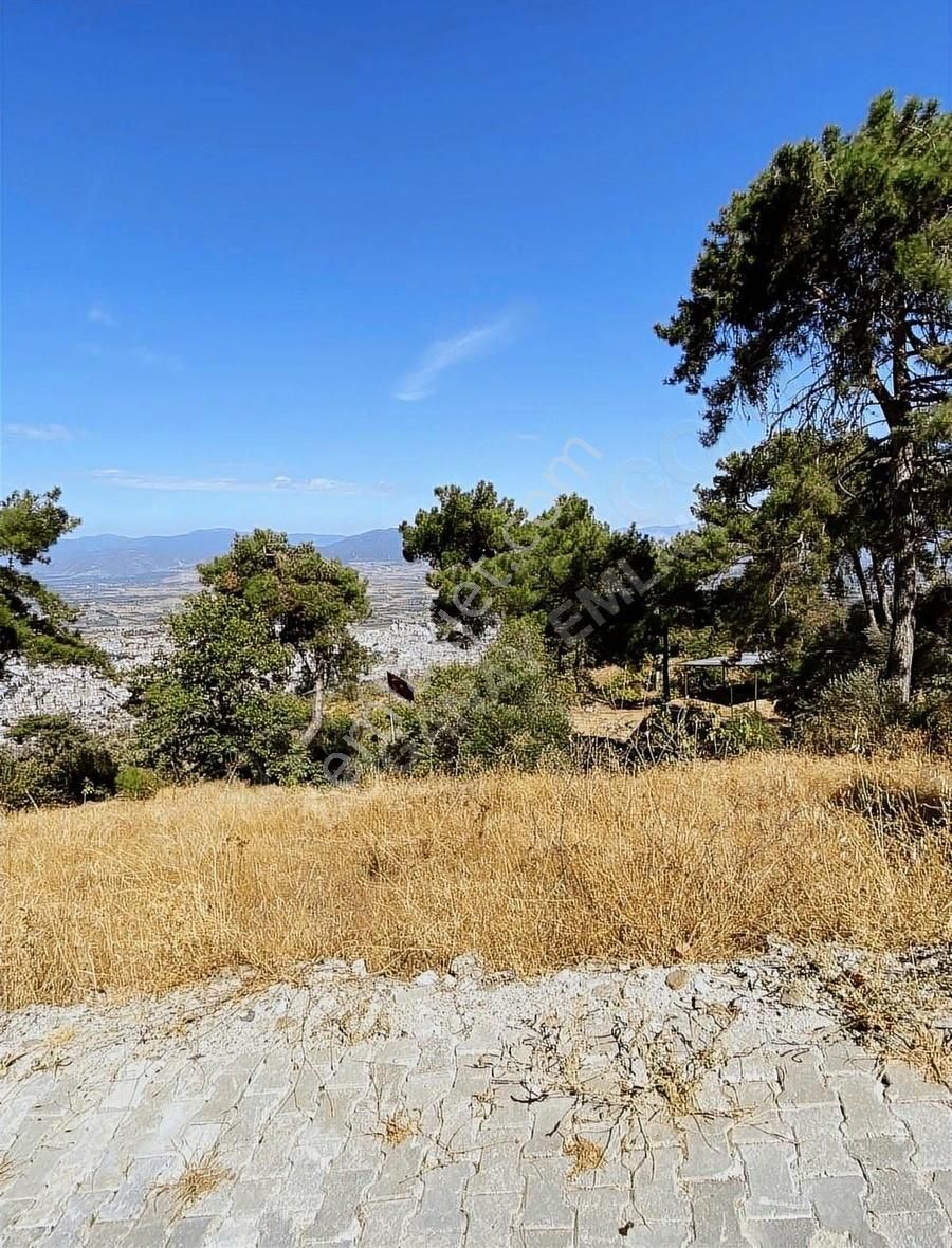 Doğanay Emlaktan İzmir Tire Kaplan Da Manzaralı Bahçe - Görsel 3