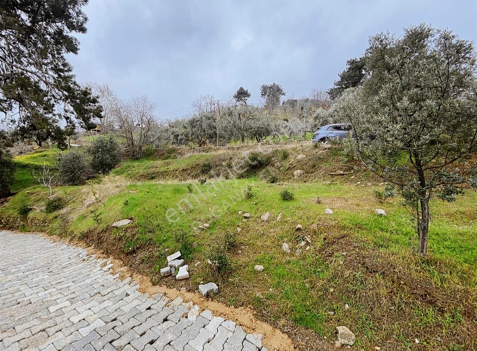 Doğanay Emlaktan İzmir Tire Kaplan Da Manzaralı Bahçe - Görsel 2