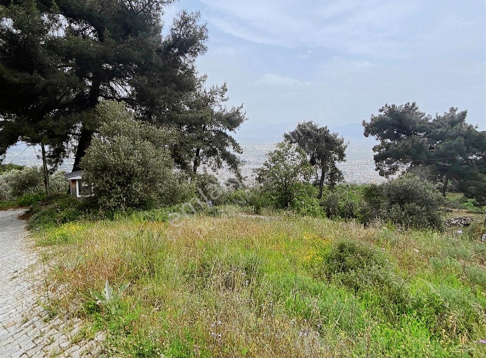 Doğanay Emlaktan İzmir Tire Kaplan Da Manzaralı Bahçe - Görsel 18