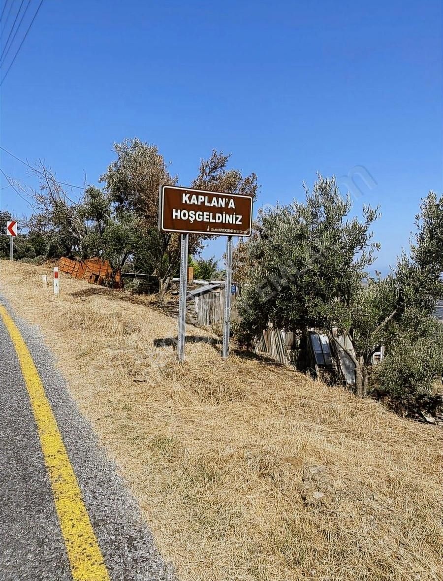 Doğanay Emlaktan İzmir Tire Kaplan Da Manzaralı Bahçe - Görsel 20