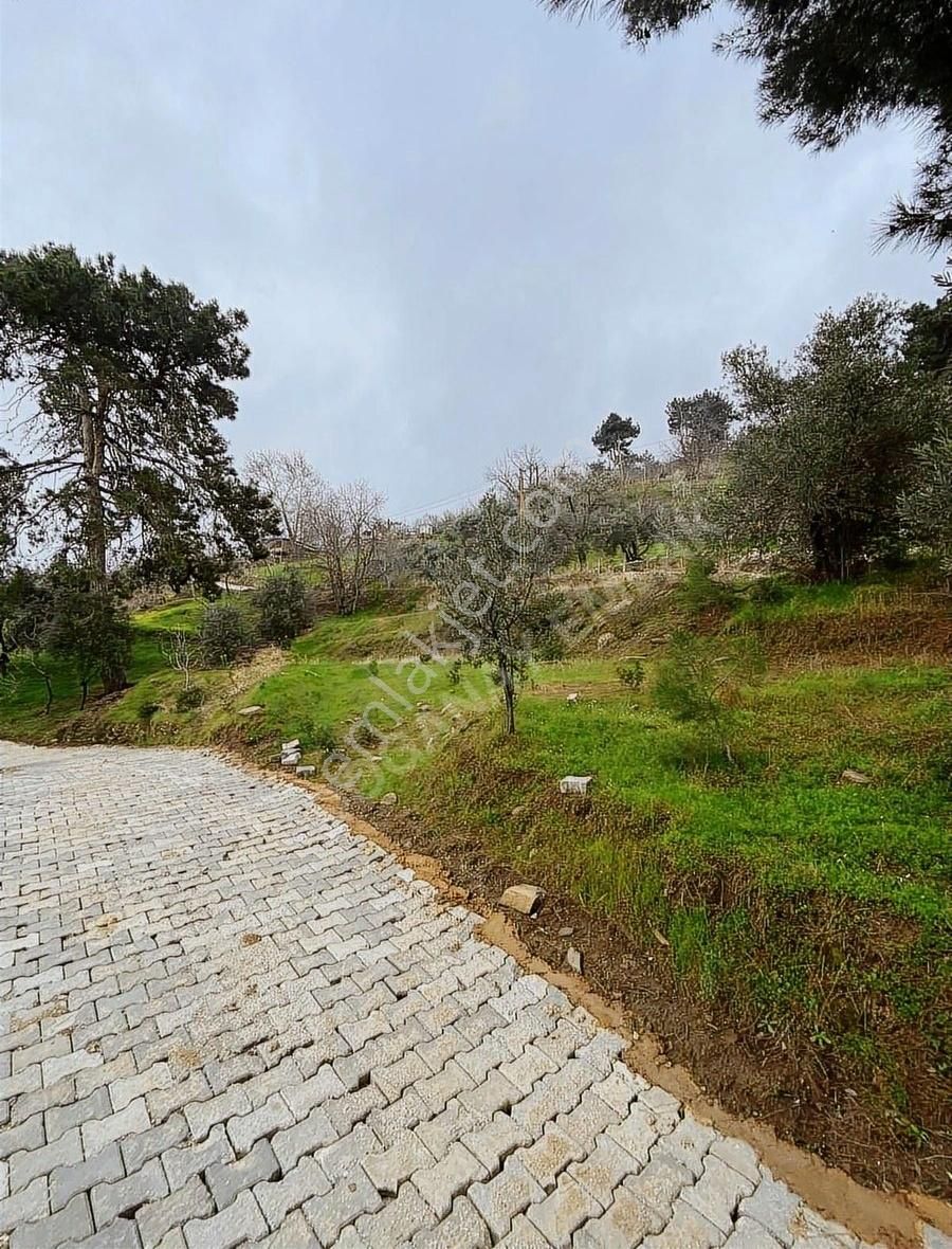 Doğanay Emlaktan İzmir Tire Kaplan Da Manzaralı Bahçe - Görsel 11