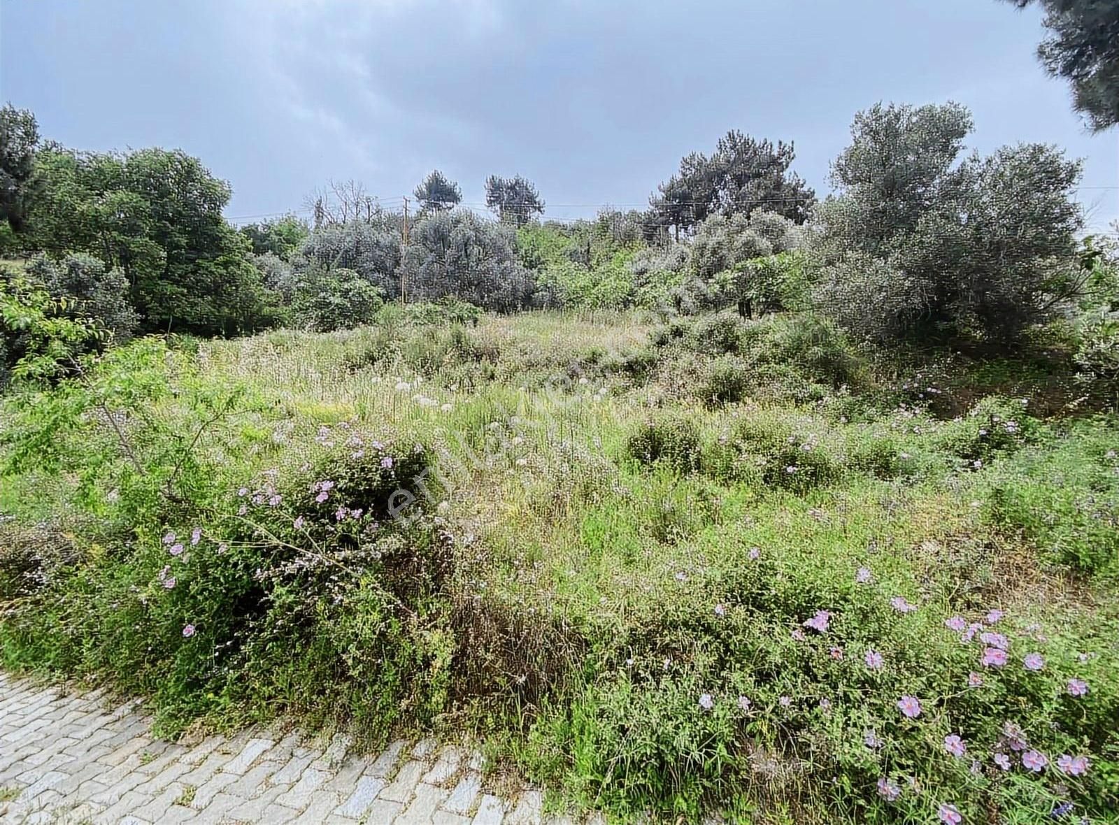 Doğanay Emlaktan İzmir Tire Kaplan Da Manzaralı Bahçe - Görsel 31