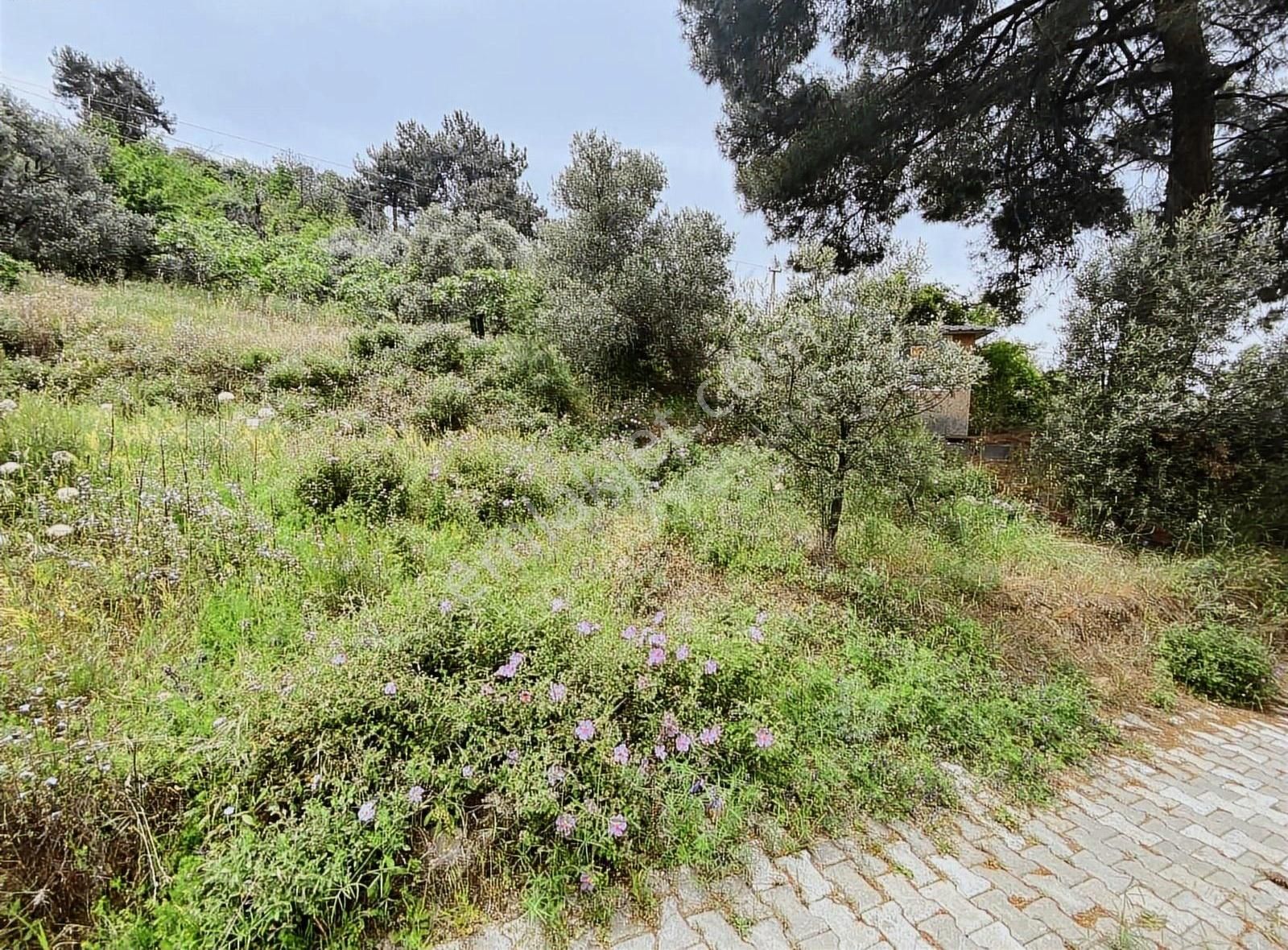 Doğanay Emlaktan İzmir Tire Kaplan Da Manzaralı Bahçe - Görsel 29