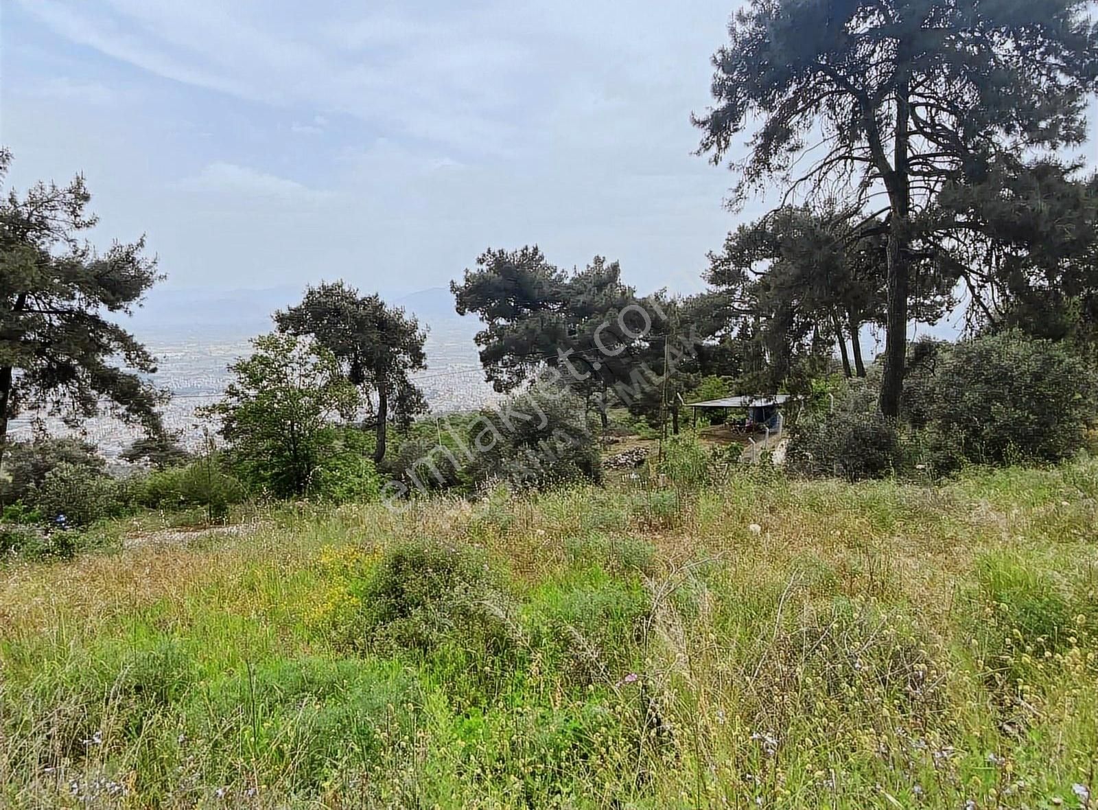 Doğanay Emlaktan İzmir Tire Kaplan Da Manzaralı Bahçe - Görsel 17