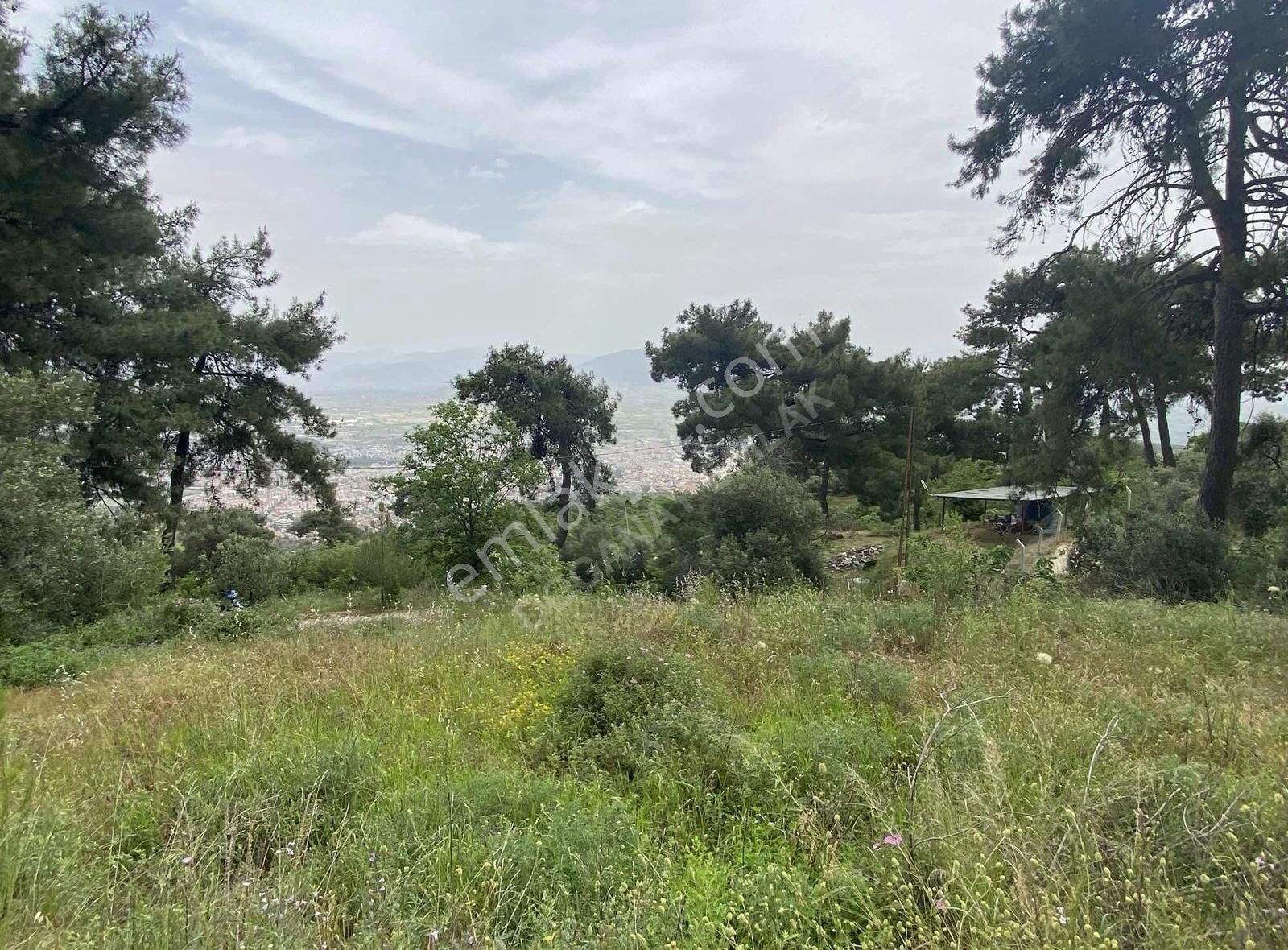 Doğanay Emlaktan İzmir Tire Kaplan Da Manzaralı Bahçe - Görsel 9