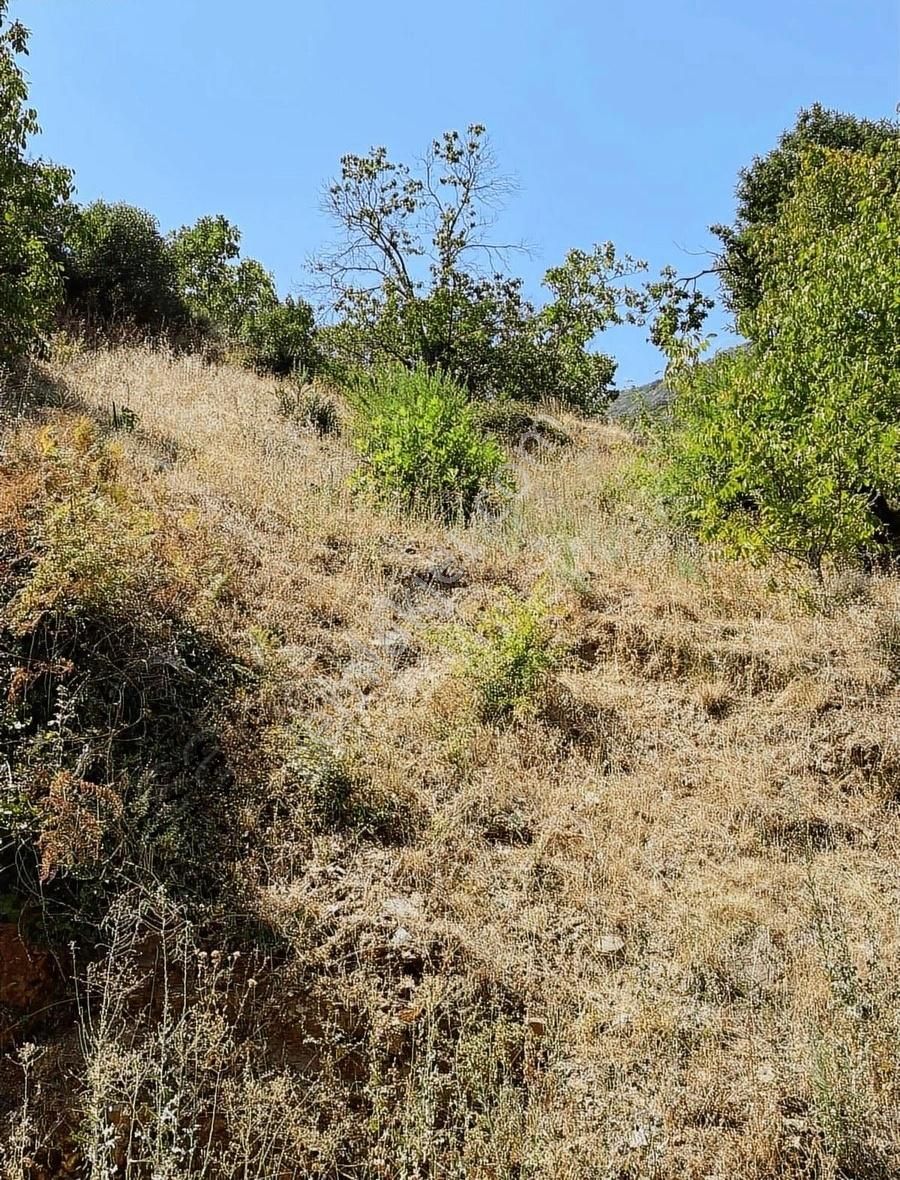 Acil Doğanay Emlaktan İzmir Tire Dallık Ta - Görsel 10