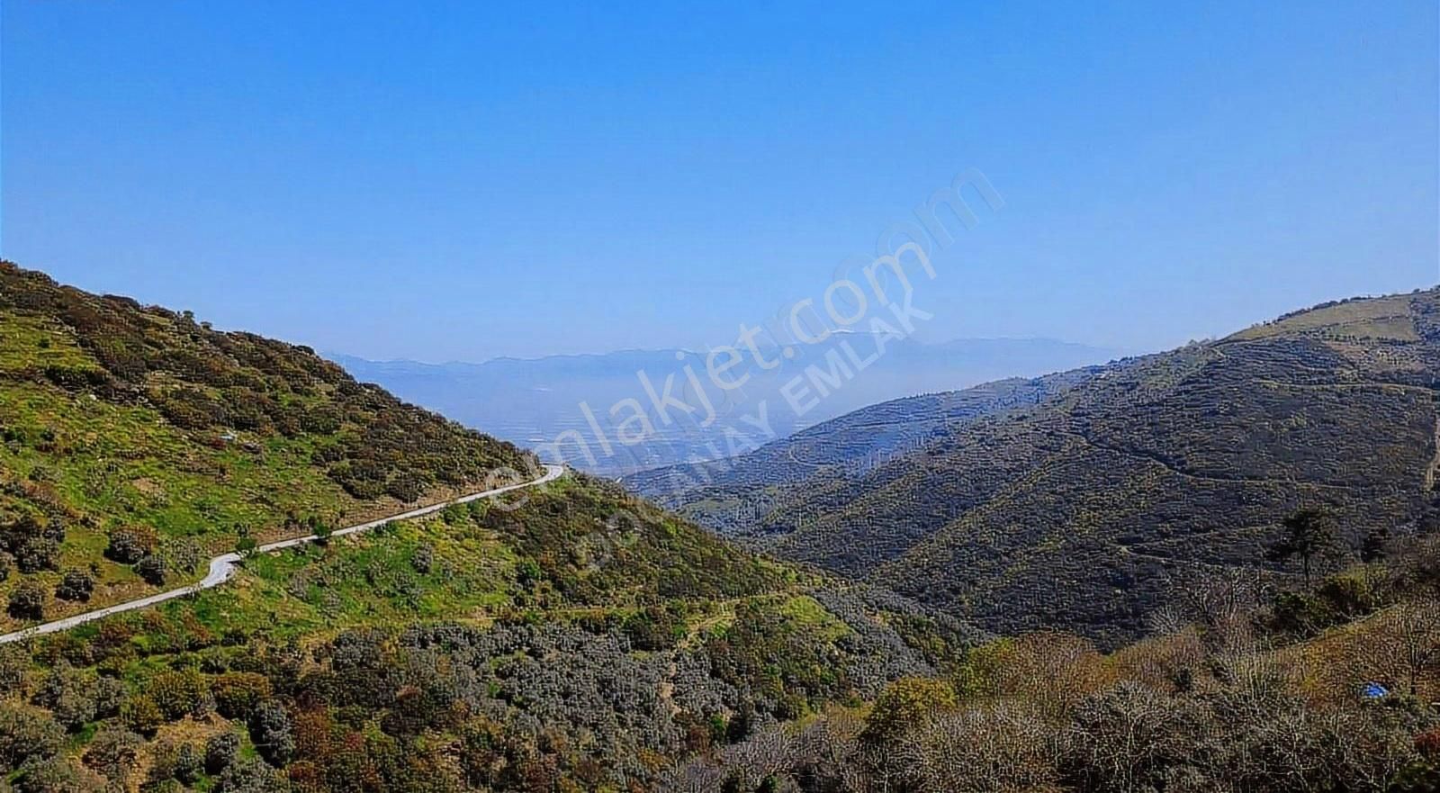 Acil Doğanay Emlaktan İzmir Tire Dallık Ta - Görsel 8