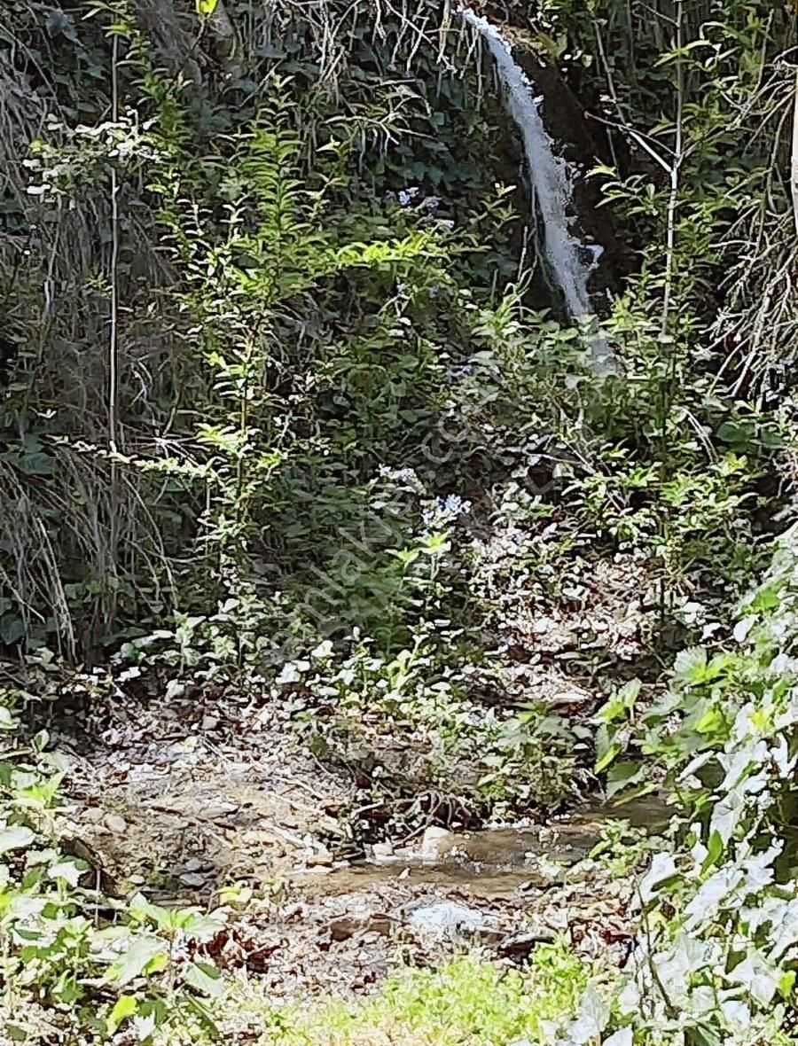 Acil Doğanay Emlaktan İzmir Tire Dallık Ta - Görsel 14