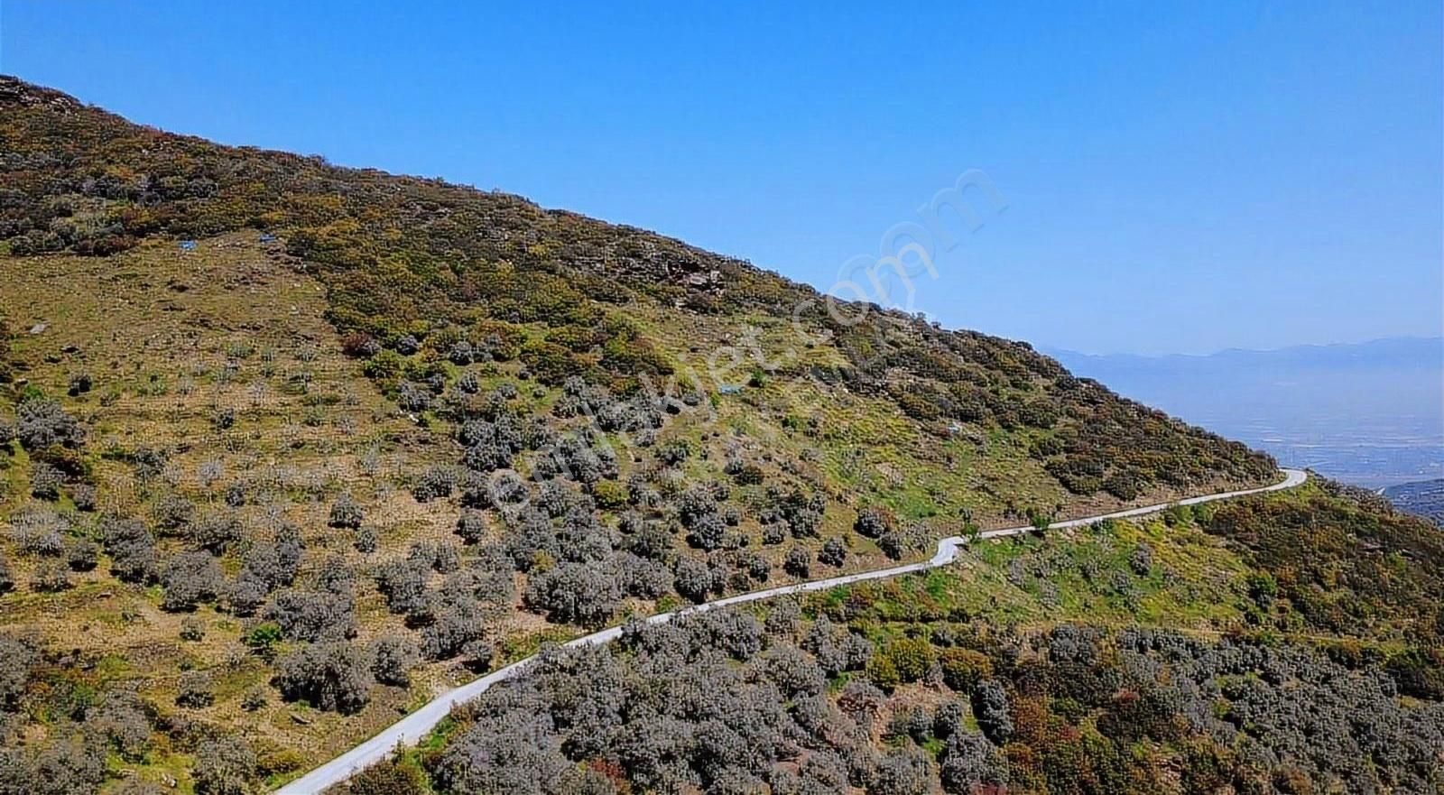 Acil Doğanay Emlaktan İzmir Tire Dallık Ta - Görsel 6