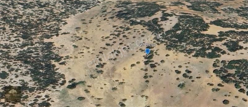 Tavas Yukarıbogaz Da Meraya Cepheli 2250 M2 Satılık Arazi - Görsel 3